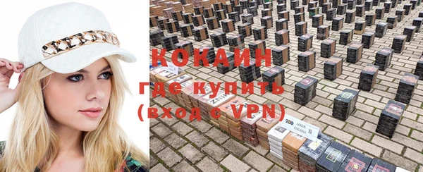 гашик Алексеевка