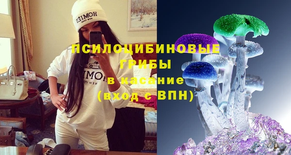гашик Алексеевка