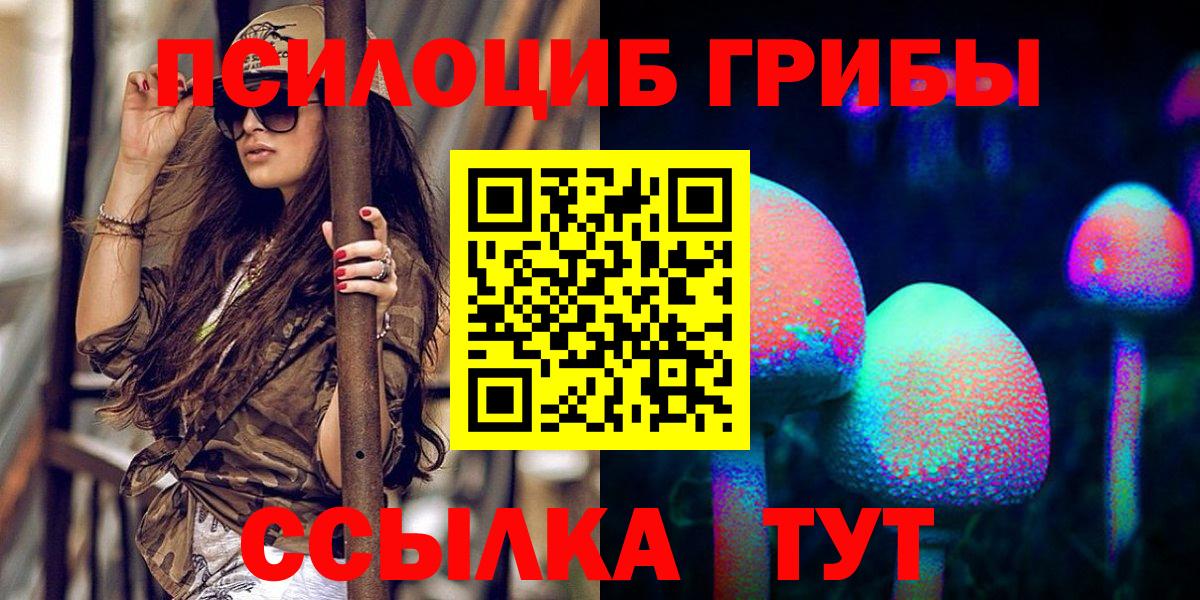 Галлюциногенные грибы MAGIC MUSHROOMS Новозыбков