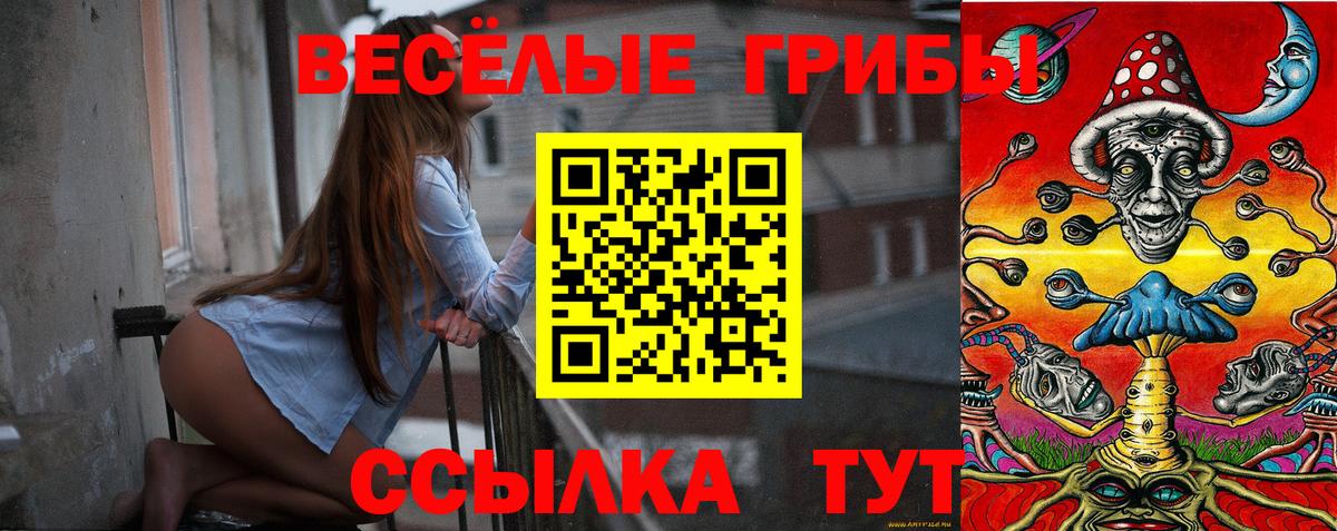 Галлюциногенные грибы GOLDEN TEACHER  Галлюциногенные грибы Psilocybe  Вход с VPN  Новозыбков 