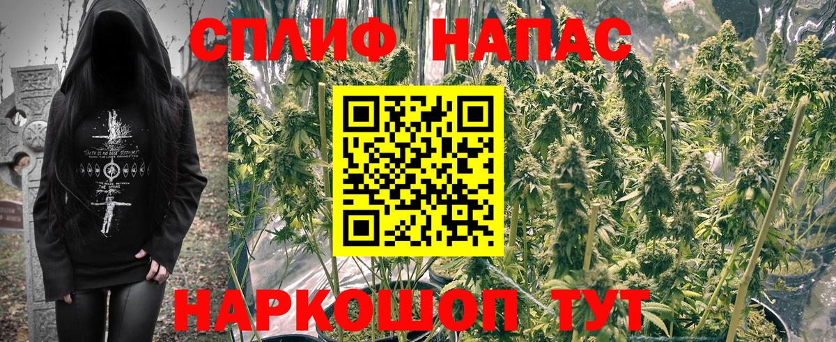Марихуана Ganja  Бошки Шишки планчик  Канабис White Widow  Новозыбков  Вход с VPN  Шишки марихуана MAZAR 